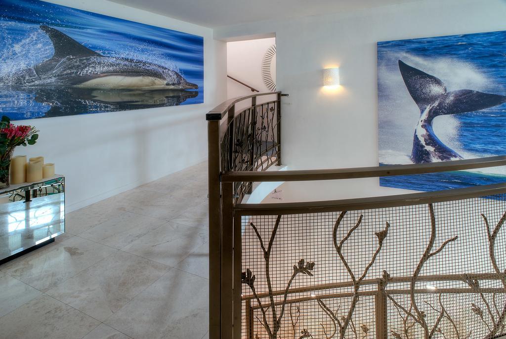 Sea Star Cliff Vila Gansbaai Exterior foto